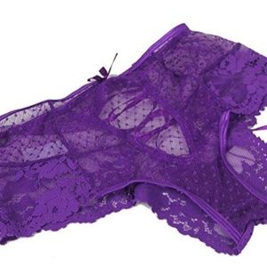 NWT Cheeky Purple Panty 🌸
